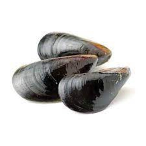 COZZE